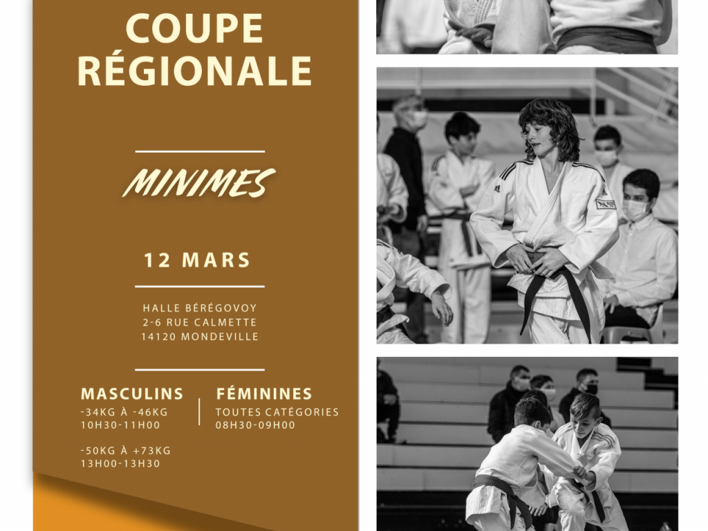 Image de l'actu 'Selection coupe de Normandie Minimes'